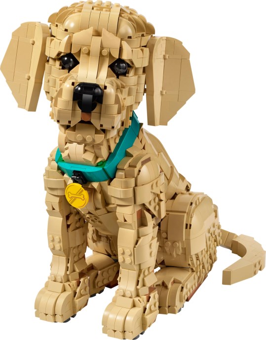 LEGO® Golden Retriever Puppy 11384
