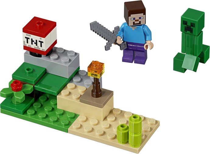 LEGO® Steve and Creeper 30393