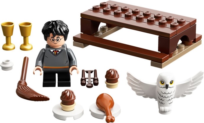 LEGO® Harry Potter and Hedwig: Owl Delivery 30420